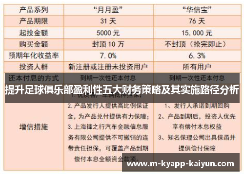 提升足球俱乐部盈利性五大财务策略及其实施路径分析