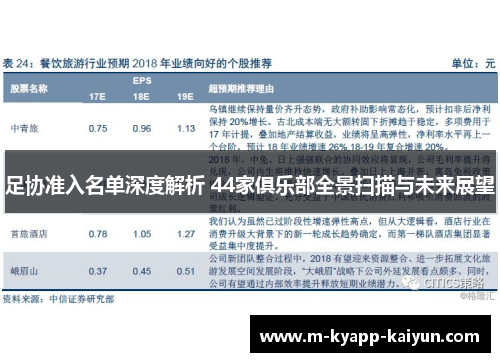 足协准入名单深度解析 44家俱乐部全景扫描与未来展望